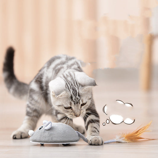 Pet Cat Toy Crawling Mouse With USB Charging - Picca Pets