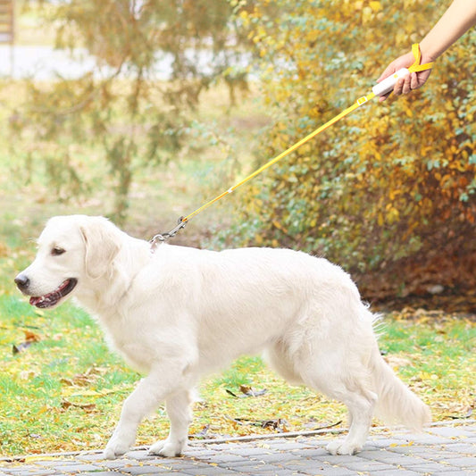 Pet Supplies Retractable Adjustable Dog Leash - Picca Pets